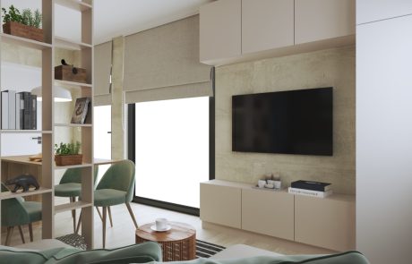 Tiny House D Split Loft 9