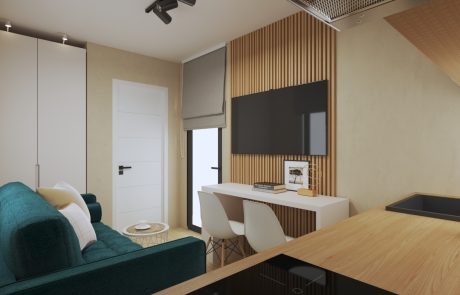 tiny house a urban house 1